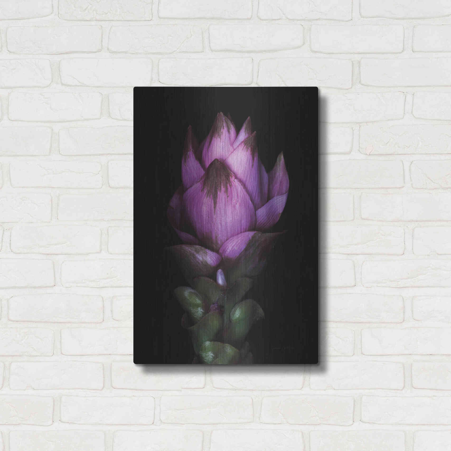 Luxe Metal Art 'Siam Tulip' by Elise Catterall, Metal Wall Art,16x24