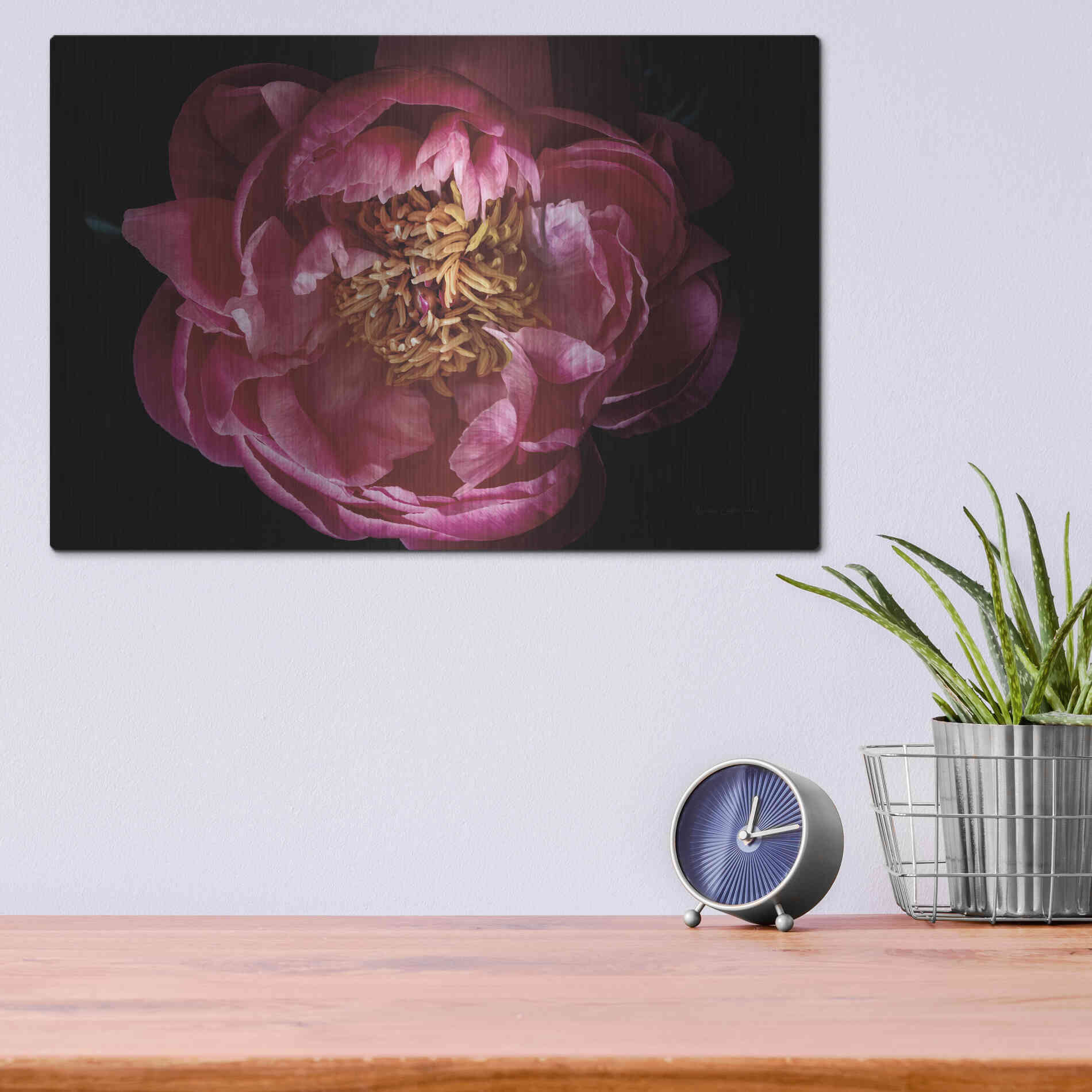 Luxe Metal Art 'Coral Peony' by Elise Catterall, Metal Wall Art,16x12