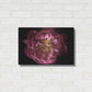 Luxe Metal Art 'Coral Peony' by Elise Catterall, Metal Wall Art,24x16