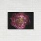 Luxe Metal Art 'Coral Peony' by Elise Catterall, Metal Wall Art,36x24
