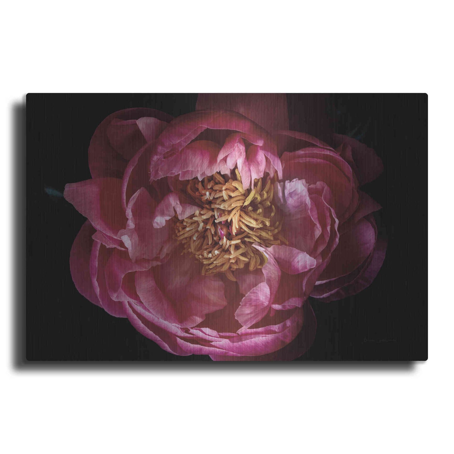 Luxe Metal Art 'Coral Peony' by Elise Catterall, Metal Wall Art