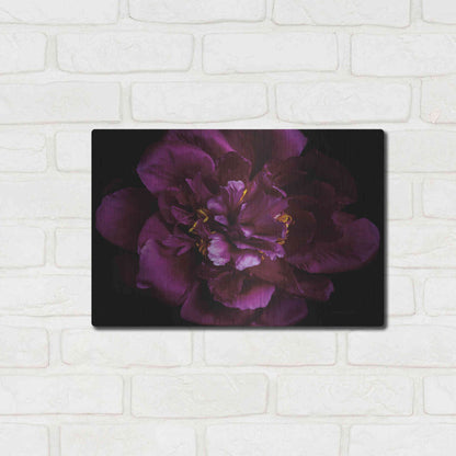 Luxe Metal Art 'Vivid Dark Peony' by Elise Catterall, Metal Wall Art,16x12