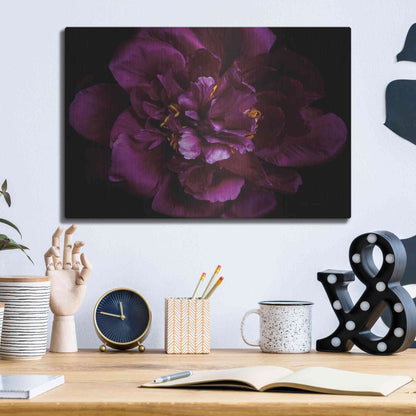 Luxe Metal Art 'Vivid Dark Peony' by Elise Catterall, Metal Wall Art,16x12