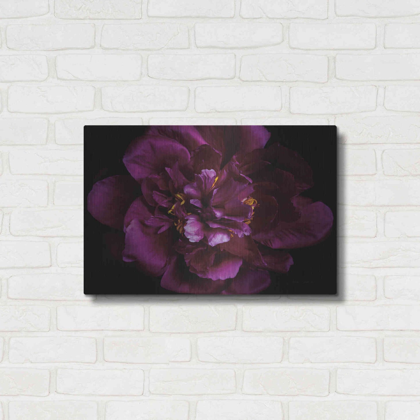 Luxe Metal Art 'Vivid Dark Peony' by Elise Catterall, Metal Wall Art,24x16