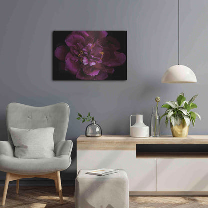 Luxe Metal Art 'Vivid Dark Peony' by Elise Catterall, Metal Wall Art,24x16