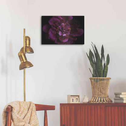 Luxe Metal Art 'Vivid Dark Peony' by Elise Catterall, Metal Wall Art,24x16