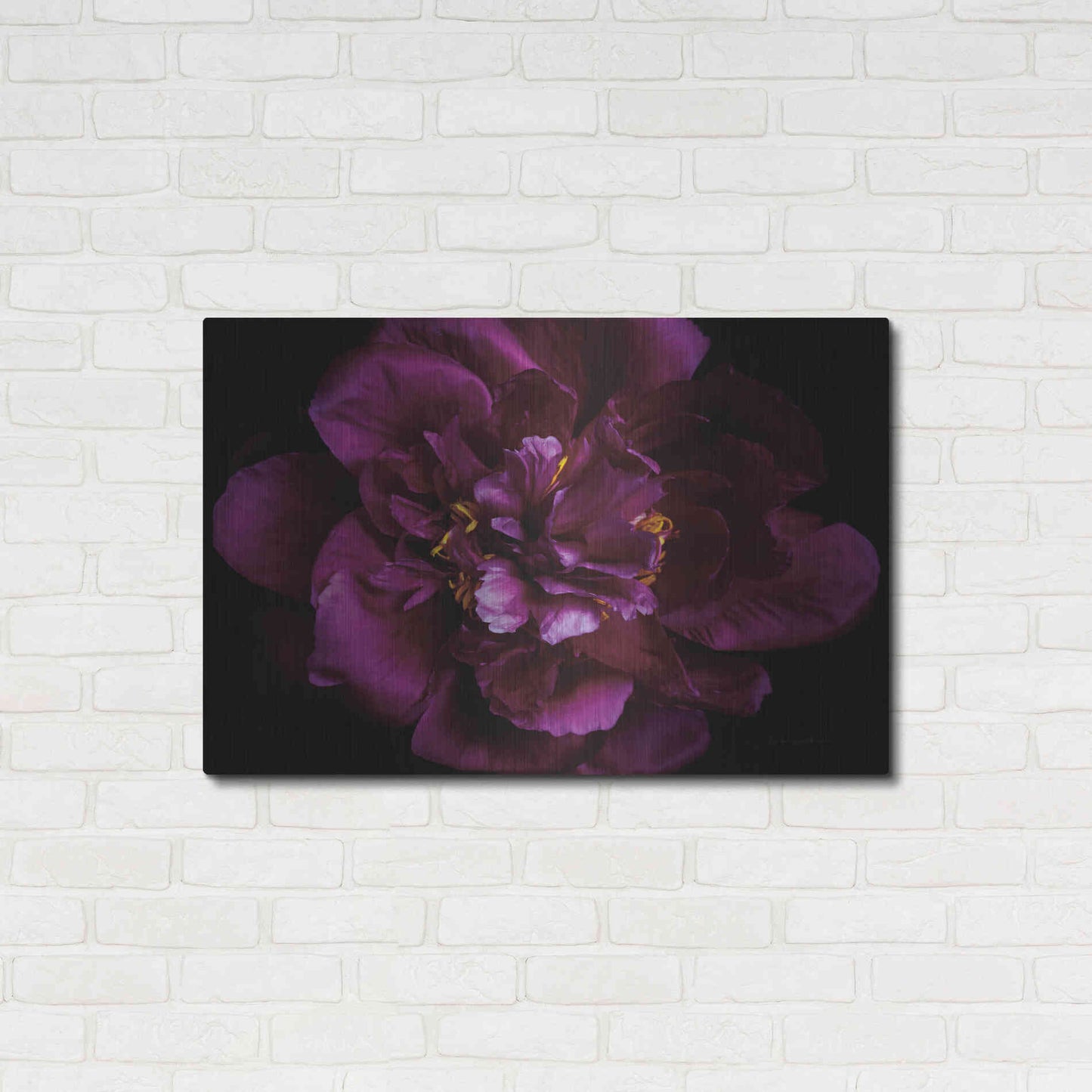 Luxe Metal Art 'Vivid Dark Peony' by Elise Catterall, Metal Wall Art,36x24