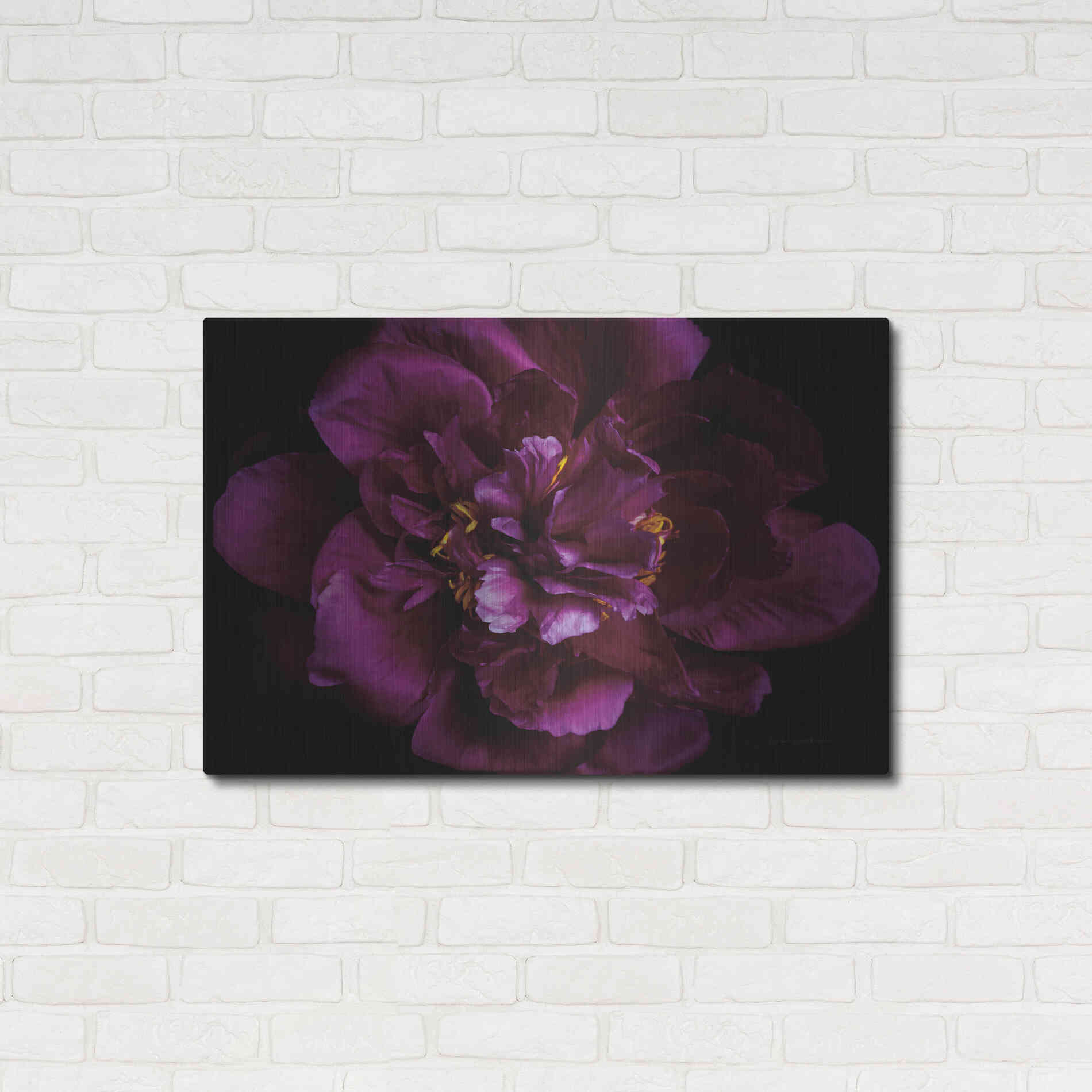 Luxe Metal Art 'Vivid Dark Peony' by Elise Catterall, Metal Wall Art,36x24