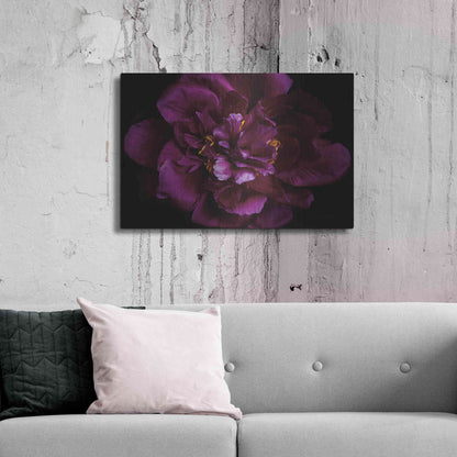 Luxe Metal Art 'Vivid Dark Peony' by Elise Catterall, Metal Wall Art,36x24