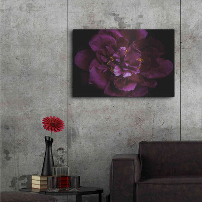 Luxe Metal Art 'Vivid Dark Peony' by Elise Catterall, Metal Wall Art,36x24