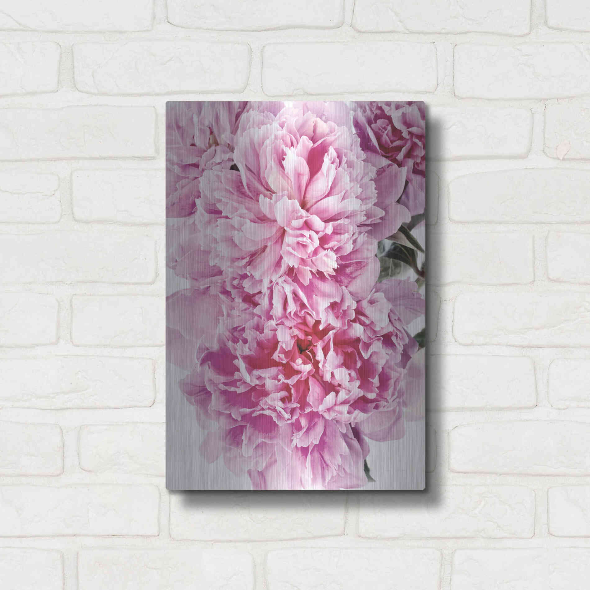 Luxe Metal Art 'Pink Peony Cluster' by Elise Catterall, Metal Wall Art,12x16