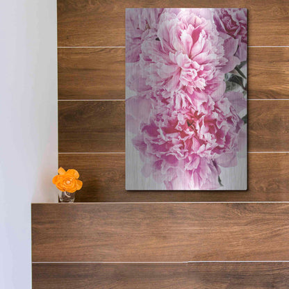 Luxe Metal Art 'Pink Peony Cluster' by Elise Catterall, Metal Wall Art,12x16