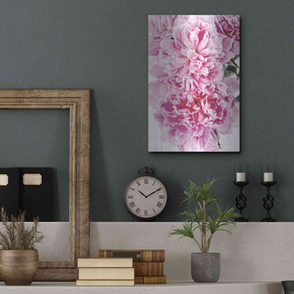 Luxe Metal Art 'Pink Peony Cluster' by Elise Catterall, Metal Wall Art,12x16