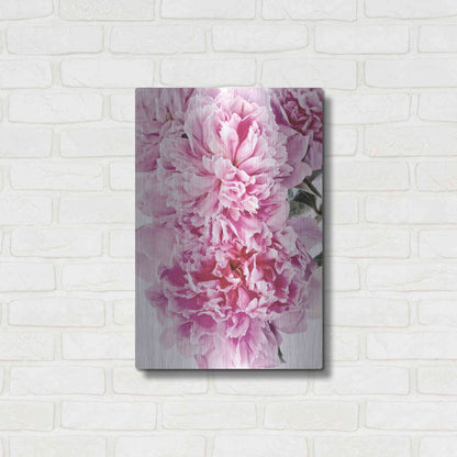 Luxe Metal Art 'Pink Peony Cluster' by Elise Catterall, Metal Wall Art,16x24