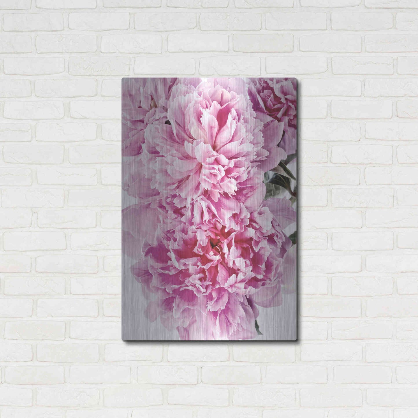 Luxe Metal Art 'Pink Peony Cluster' by Elise Catterall, Metal Wall Art,24x36