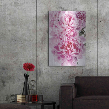 Luxe Metal Art 'Pink Peony Cluster' by Elise Catterall, Metal Wall Art,24x36