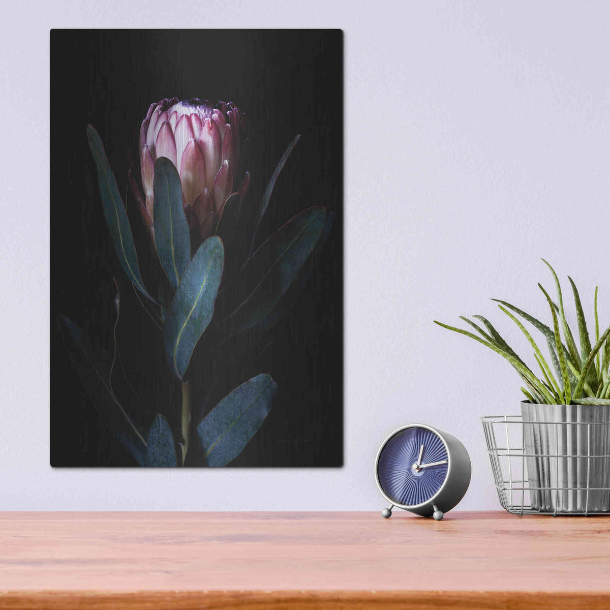Luxe Metal Art 'Protea Portrait' by Elise Catterall, Metal Wall Art,12x16