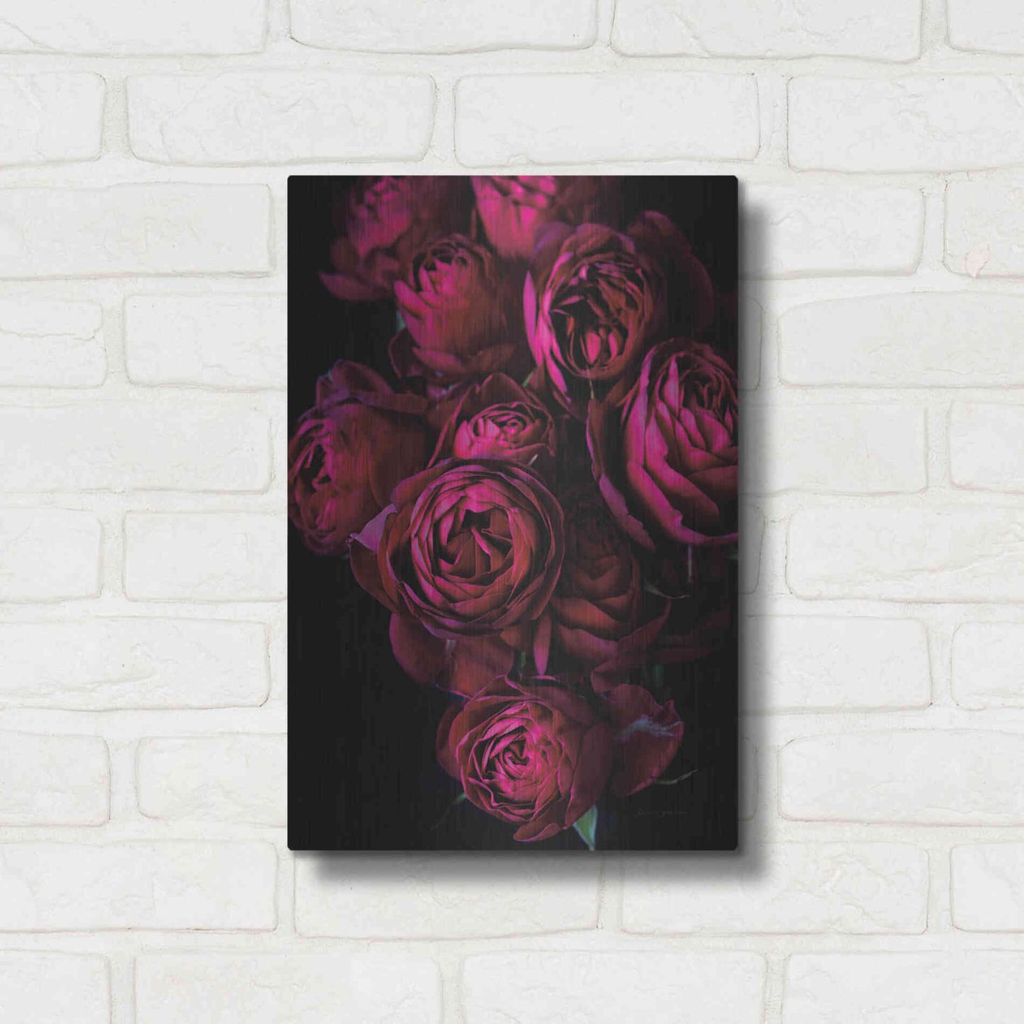 Luxe Metal Art 'Cabbage Roses' by Elise Catterall, Metal Wall Art,12x16