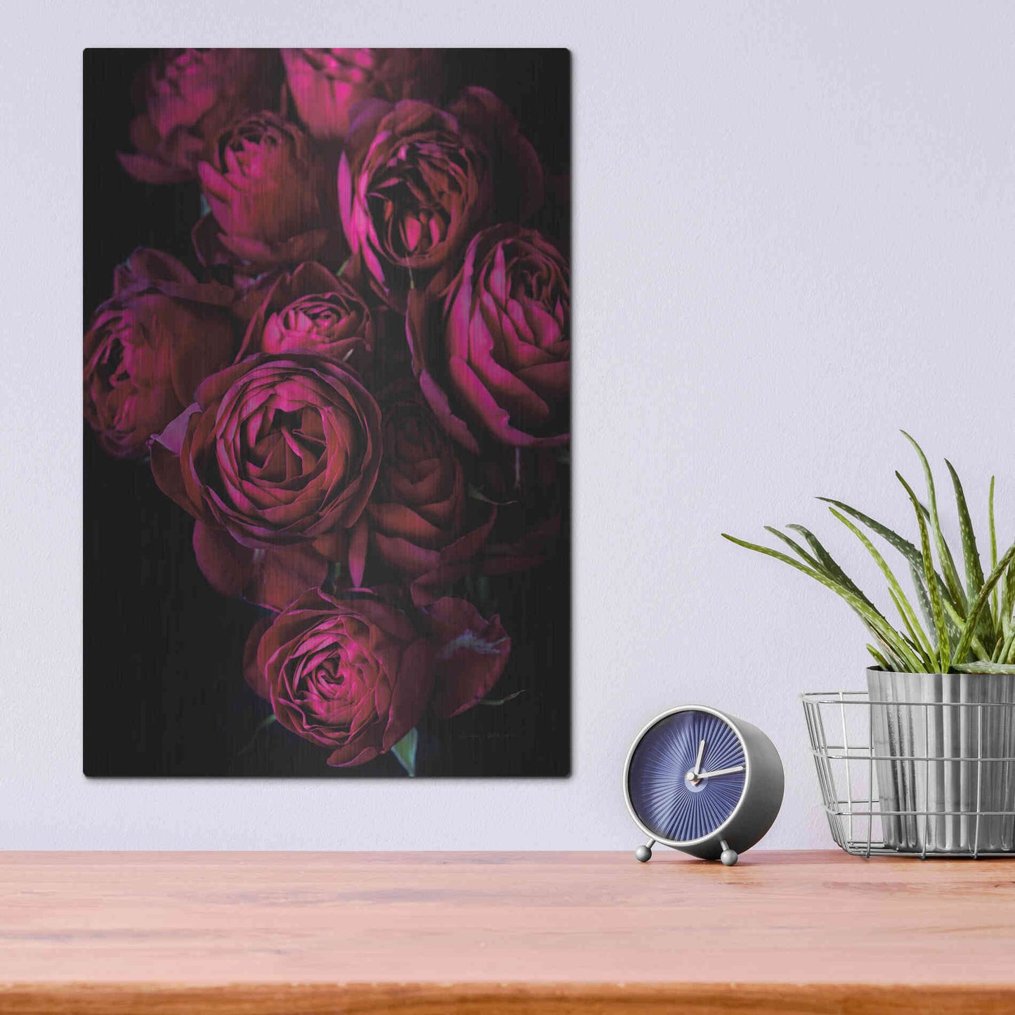 Luxe Metal Art 'Cabbage Roses' by Elise Catterall, Metal Wall Art,12x16