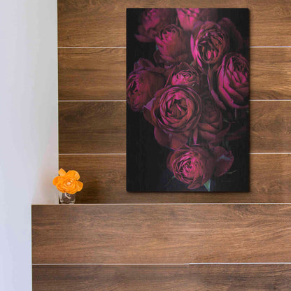 Luxe Metal Art 'Cabbage Roses' by Elise Catterall, Metal Wall Art,12x16