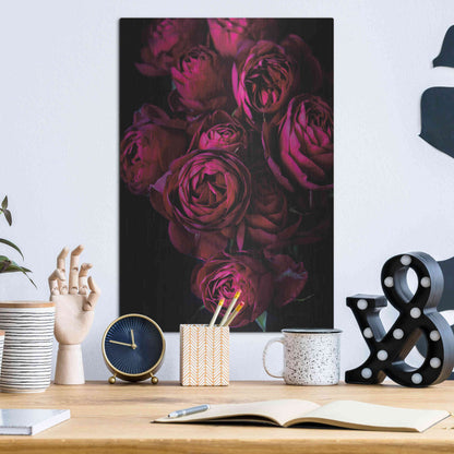 Luxe Metal Art 'Cabbage Roses' by Elise Catterall, Metal Wall Art,12x16