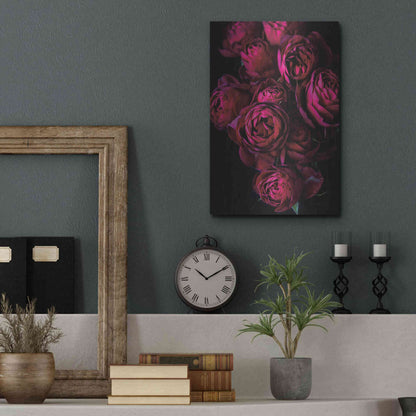 Luxe Metal Art 'Cabbage Roses' by Elise Catterall, Metal Wall Art,12x16