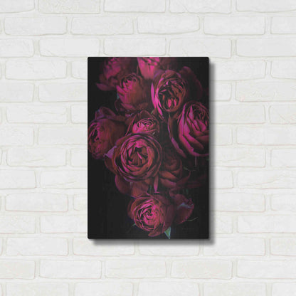 Luxe Metal Art 'Cabbage Roses' by Elise Catterall, Metal Wall Art,16x24