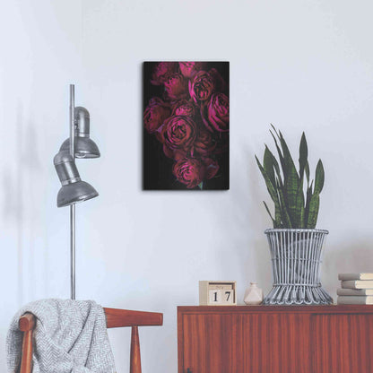 Luxe Metal Art 'Cabbage Roses' by Elise Catterall, Metal Wall Art,16x24