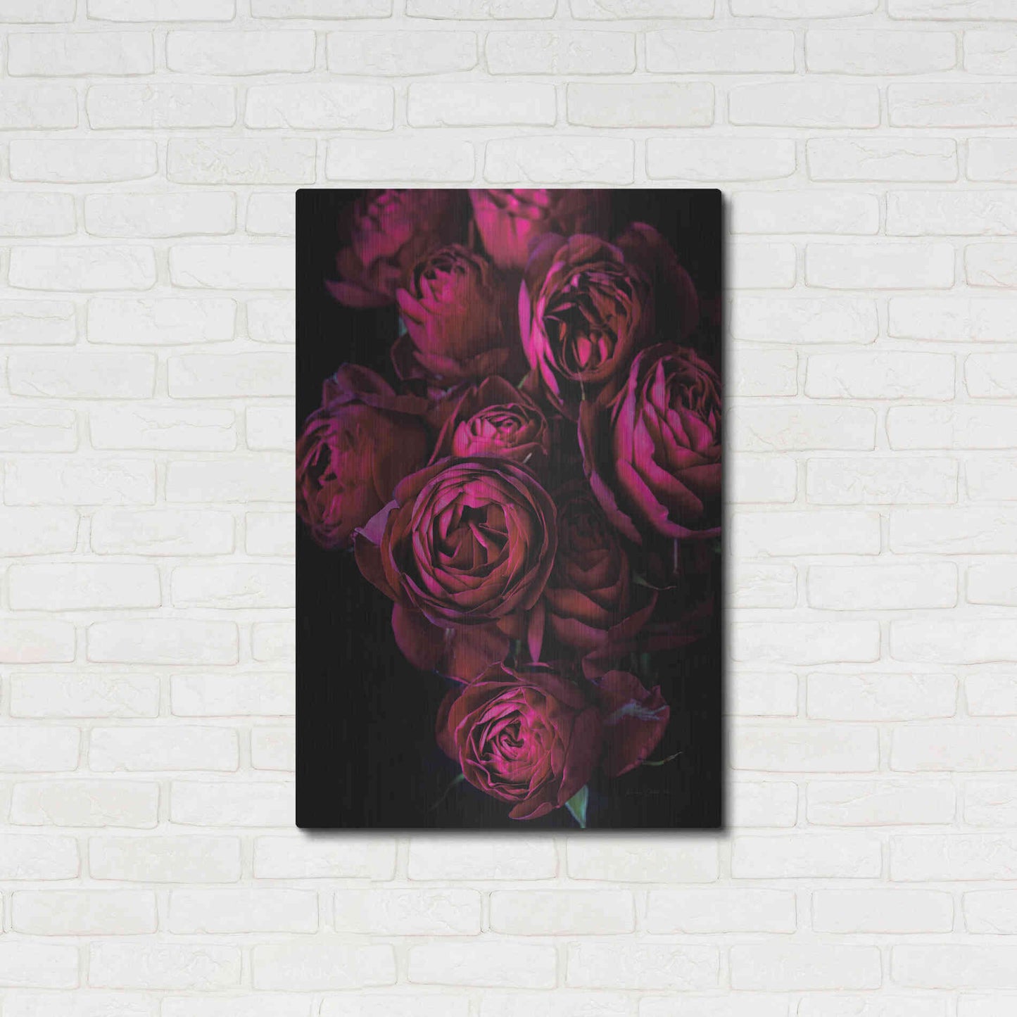 Luxe Metal Art 'Cabbage Roses' by Elise Catterall, Metal Wall Art,24x36