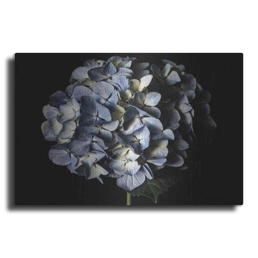 Luxe Metal Art 'Pale Blue Hydrangea' by Elise Catterall, Metal Wall Art
