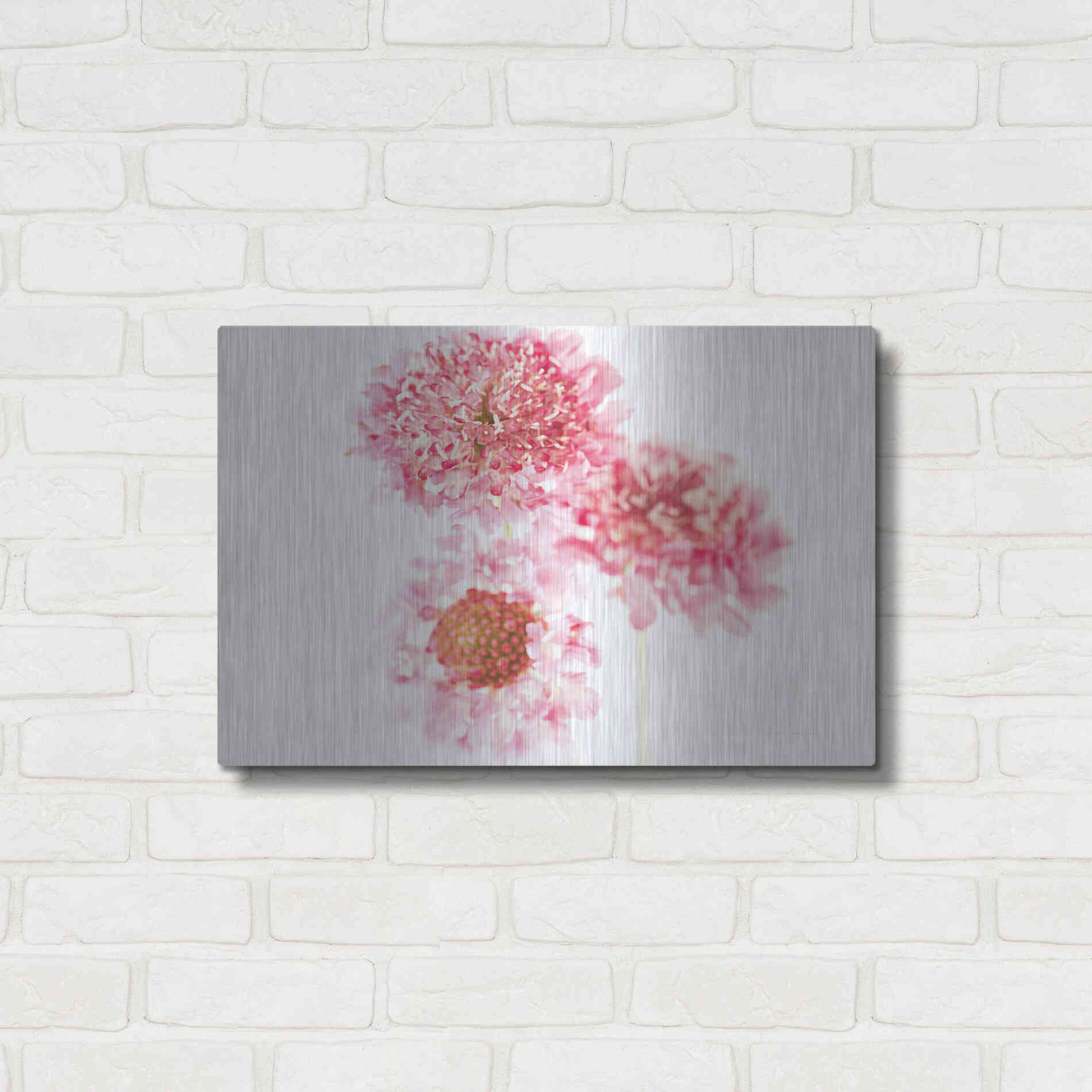 Luxe Metal Art 'Pink Scabiosa Trio' by Elise Catterall, Metal Wall Art,24x16