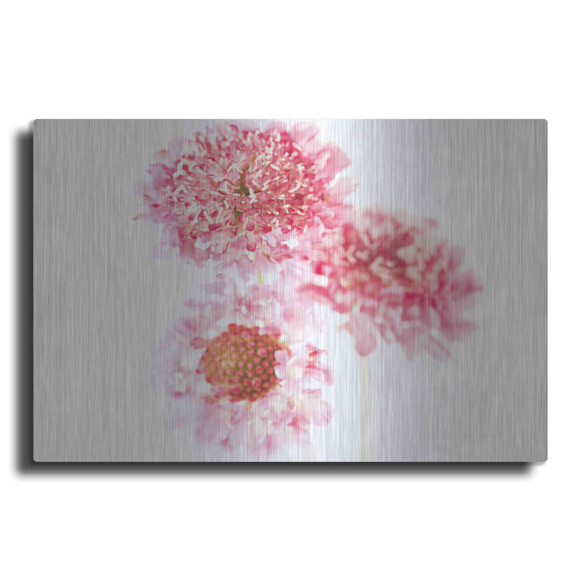Luxe Metal Art 'Pink Scabiosa Trio' by Elise Catterall, Metal Wall Art
