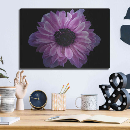 Luxe Metal Art 'Purple Anemone' by Elise Catterall, Metal Wall Art,16x12