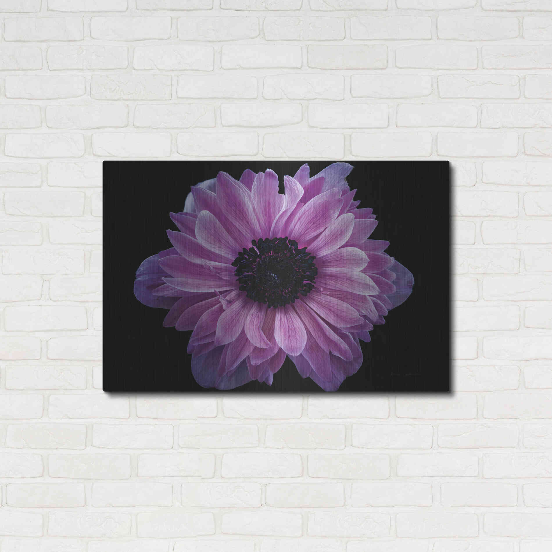 Luxe Metal Art 'Purple Anemone' by Elise Catterall, Metal Wall Art,36x24