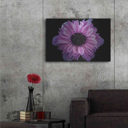 Luxe Metal Art 'Purple Anemone' by Elise Catterall, Metal Wall Art,36x24