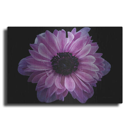 Luxe Metal Art 'Purple Anemone' by Elise Catterall, Metal Wall Art