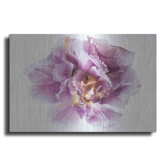 Luxe Metal Art 'Purple Double Open' by Elise Catterall, Metal Wall Art