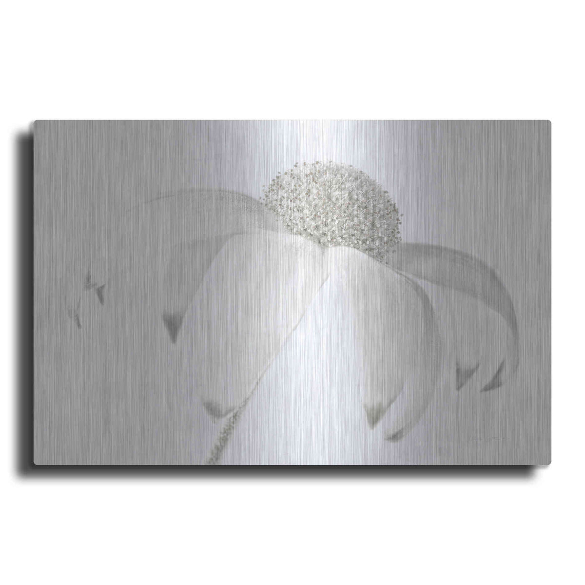 Luxe Metal Art 'Flannel Flower Neutral' by Elise Catterall, Metal Wall Art
