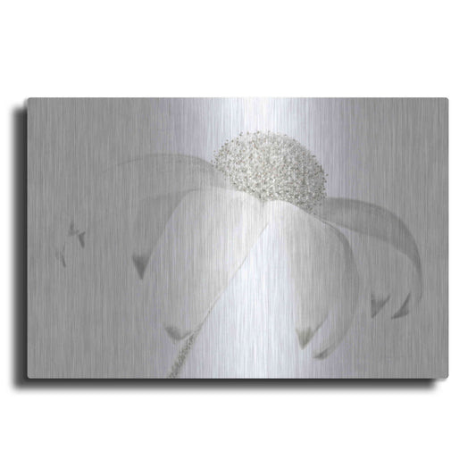 Luxe Metal Art 'Flannel Flower Neutral' by Elise Catterall, Metal Wall Art