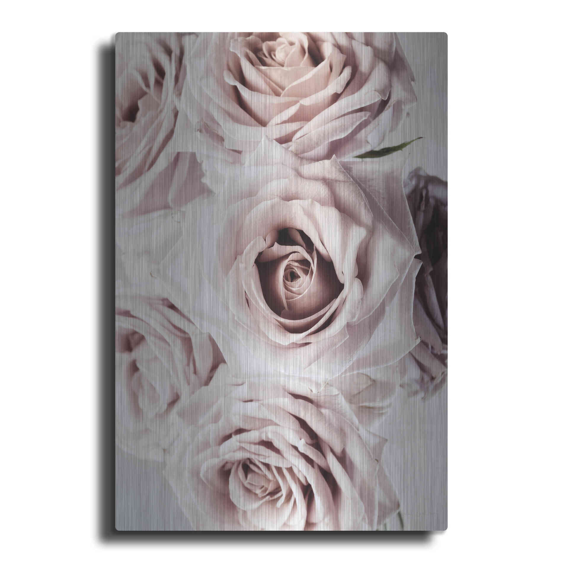 Luxe Metal Art 'Dusty Rose Cluster' by Elise Catterall, Metal Wall Art