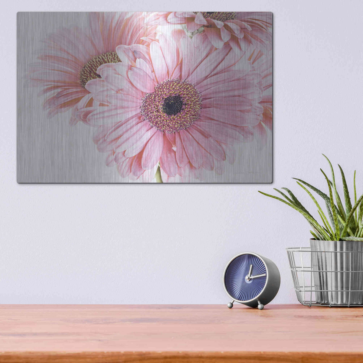 Luxe Metal Art 'Pastel Gerbera Daisies' by Elise Catterall, Metal Wall Art,16x12
