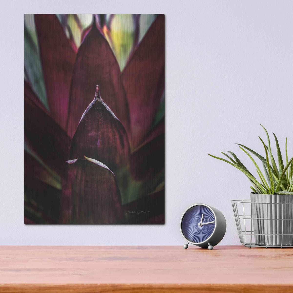 Luxe Metal Art 'Succulent Detail I' by Elise Catterall, Metal Wall Art,12x16