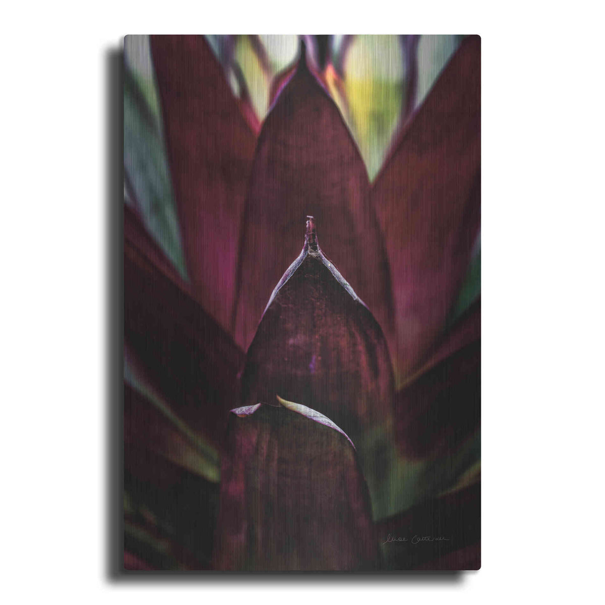 Luxe Metal Art 'Succulent Detail I' by Elise Catterall, Metal Wall Art