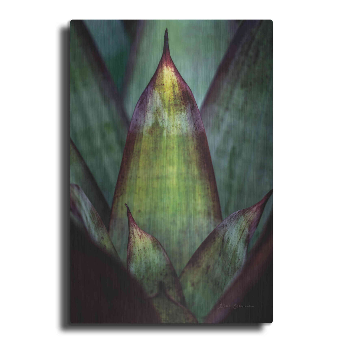 Luxe Metal Art 'Succulent Detail II' by Elise Catterall, Metal Wall Art