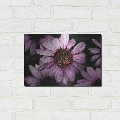 Luxe Metal Art 'Echinacea' by Elise Catterall, Metal Wall Art,16x12