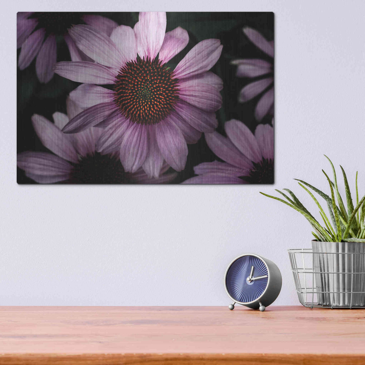 Luxe Metal Art 'Echinacea' by Elise Catterall, Metal Wall Art,16x12
