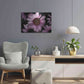 Luxe Metal Art 'Echinacea' by Elise Catterall, Metal Wall Art,24x16