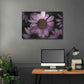 Luxe Metal Art 'Echinacea' by Elise Catterall, Metal Wall Art,36x24