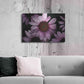 Luxe Metal Art 'Echinacea' by Elise Catterall, Metal Wall Art,36x24