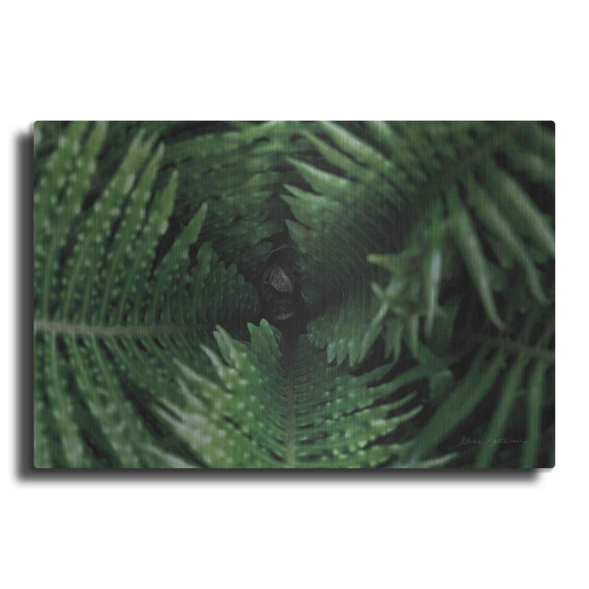 Luxe Metal Art 'Fern Detail' by Elise Catterall, Metal Wall Art